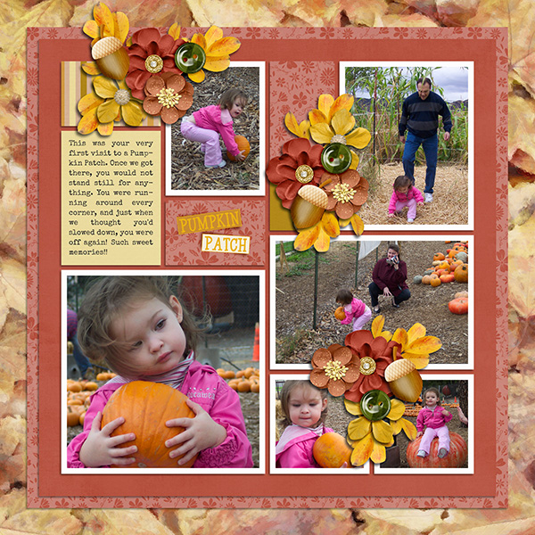 First Time Pumpkin Patch