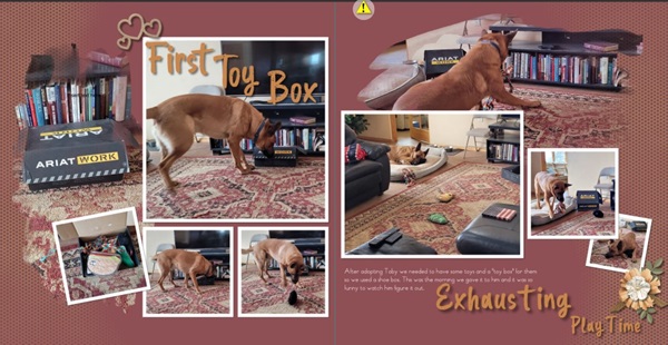 First toy box