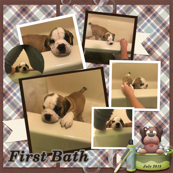 First_Bath2