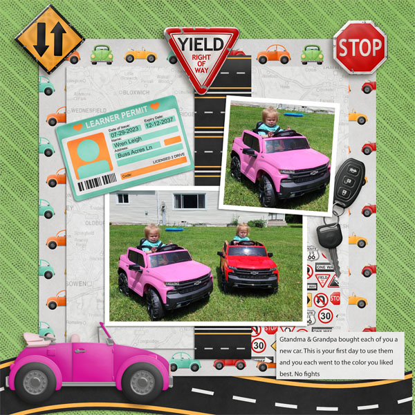 First_Car_Wren