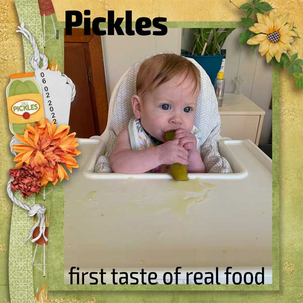 First_Food_Wren