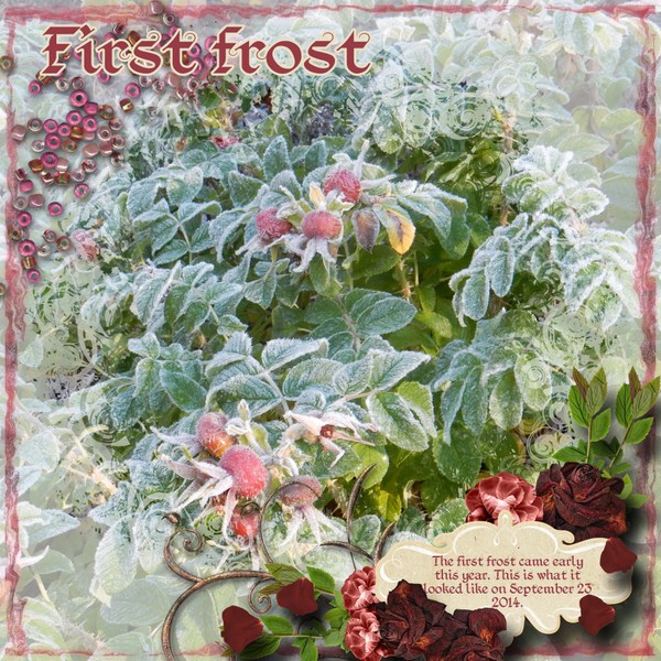 First_frost