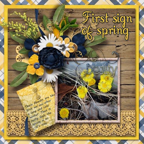 First_sign_of_spring