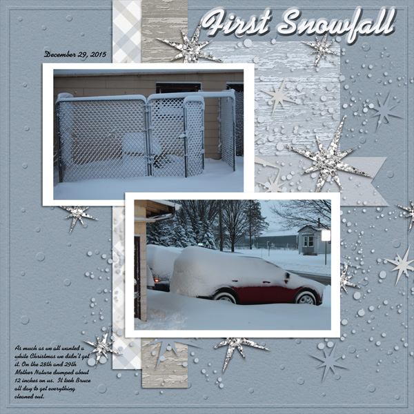 First_Snow_Fall_01-2016