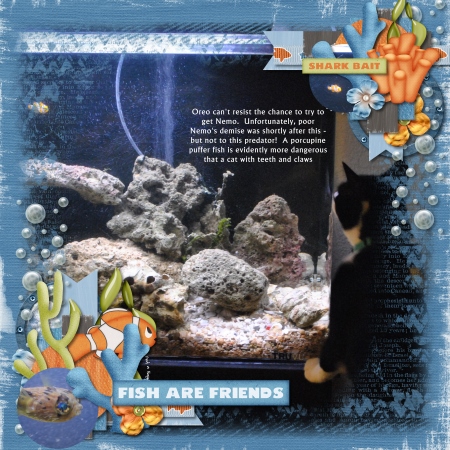 Fish Are Friends?