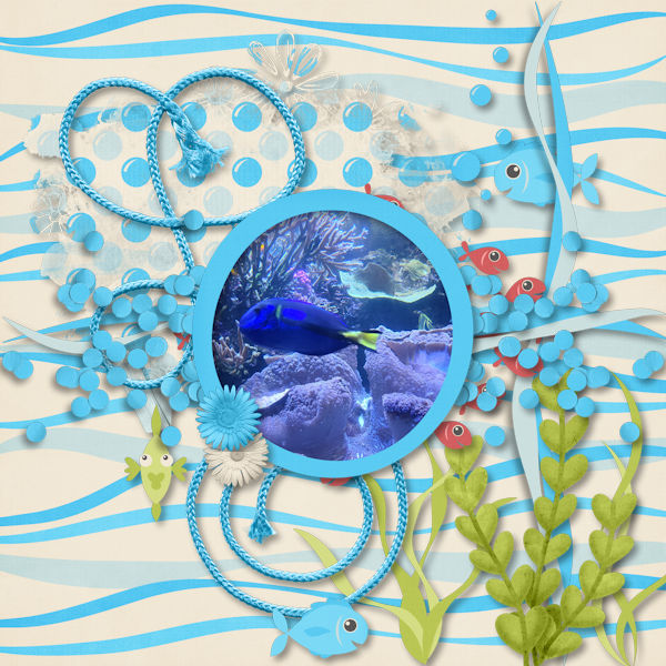 Fish Bowl