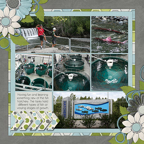 Fish Hatchery 1