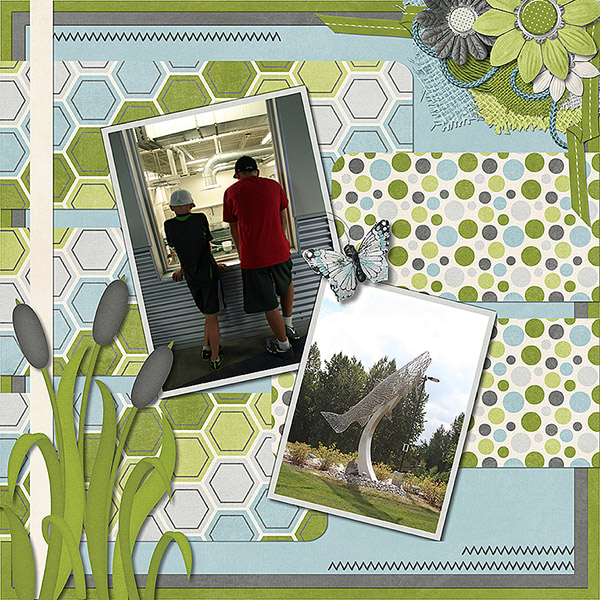 Fish Hatchery 2
