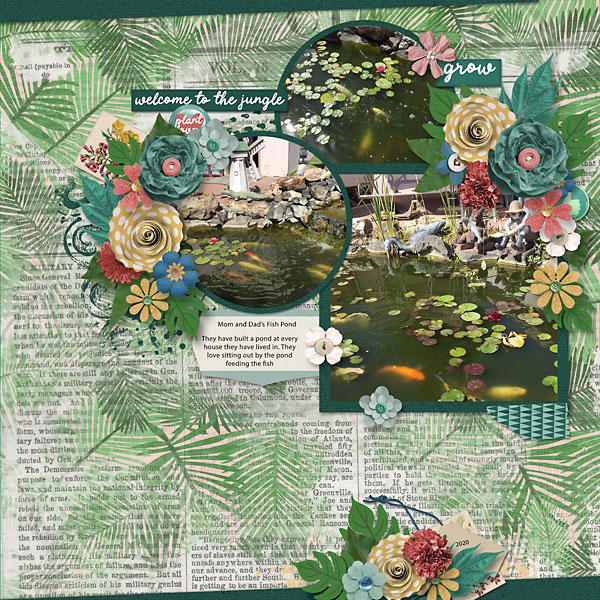 Fish-Pond-copy