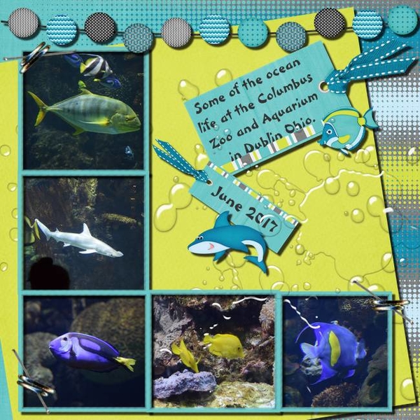 Fish