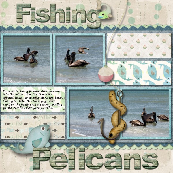 Fishing Pelicans