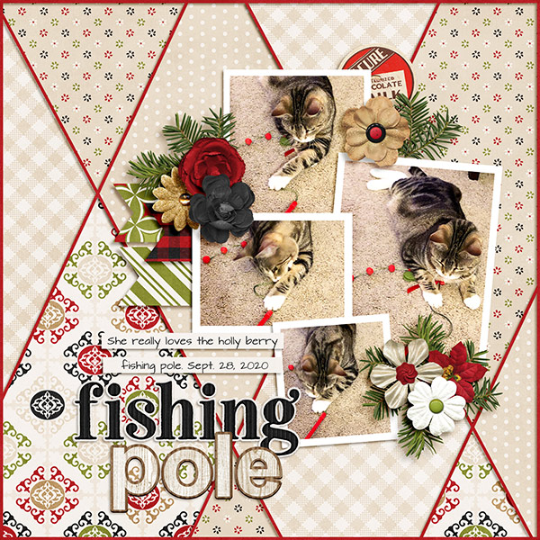 Fishing Pole