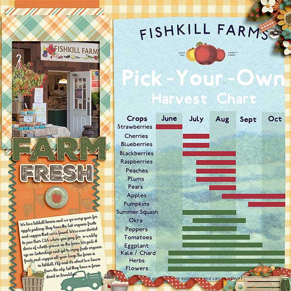 fishkilcsa
