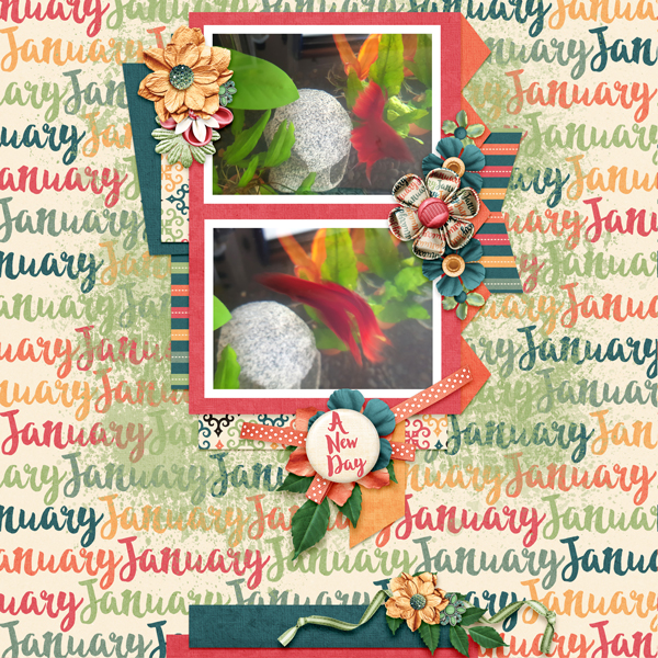 Fishy New Year