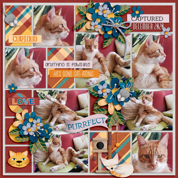 Fister December 2020