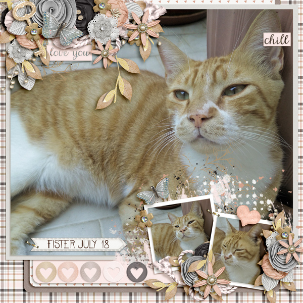Fister July 2018 - 2