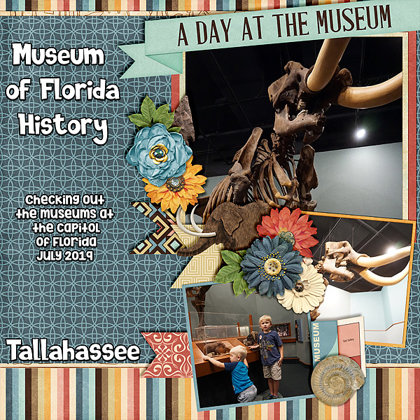 fl-hist-mus