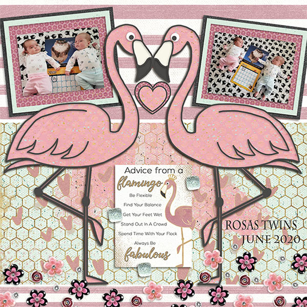 Flamazing Collaboration