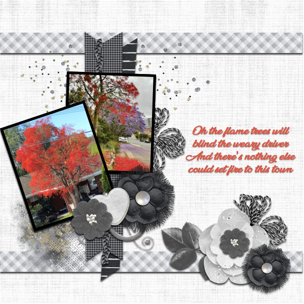 Flame Trees