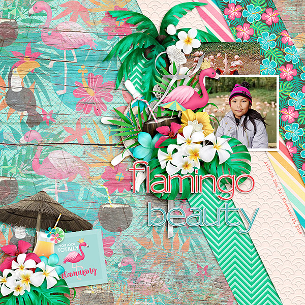 Flamingo Beauty