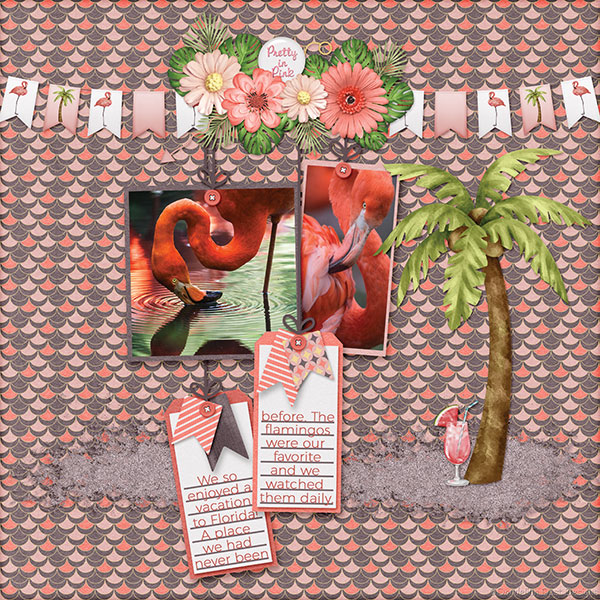 Flamingo Fabulous