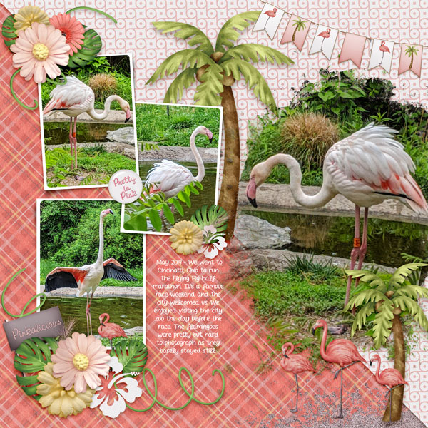 Flamingo Fabulous
