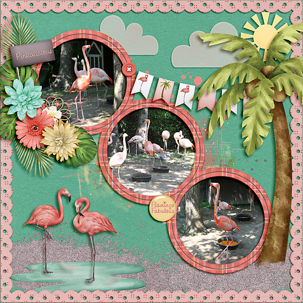Flamingo Fabulous