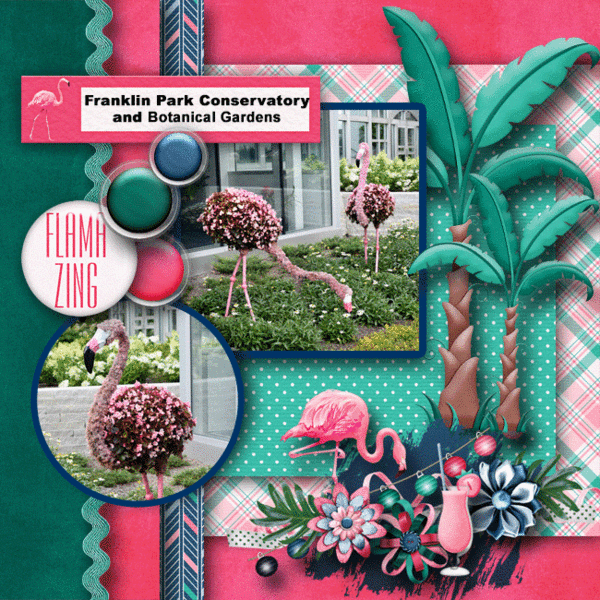 Flamingo flowering
