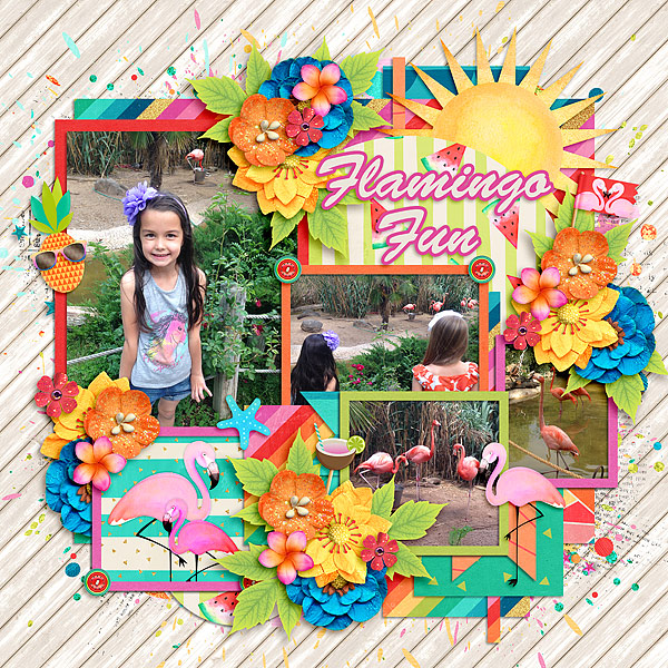 Flamingo Fun