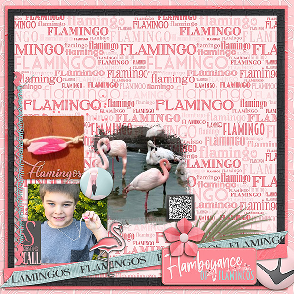 Flamingo Fun