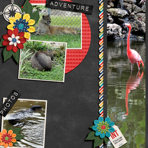 Flamingo Gardens