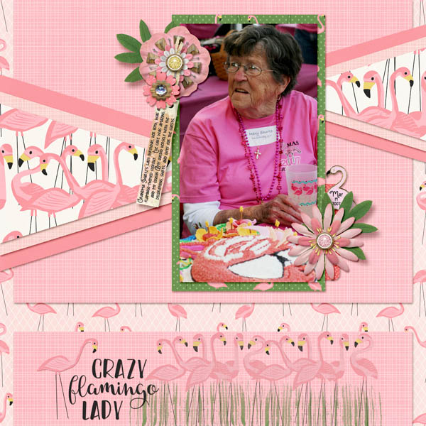 Flamingo Lady