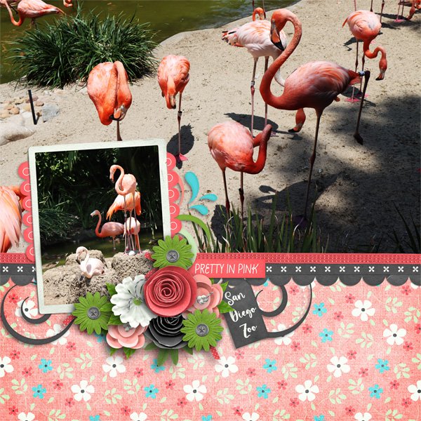 Flamingo Life