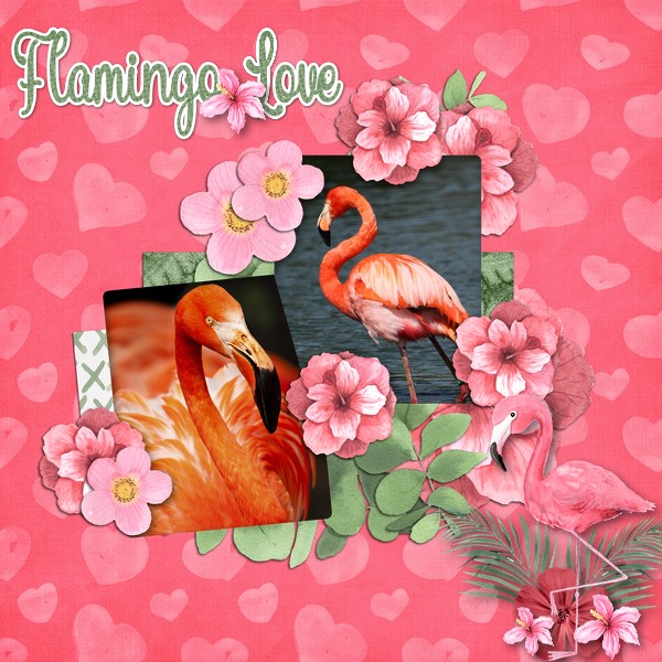 Flamingo Love
