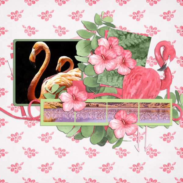 Flamingo QP