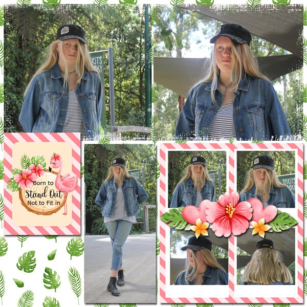 Flamingo Road