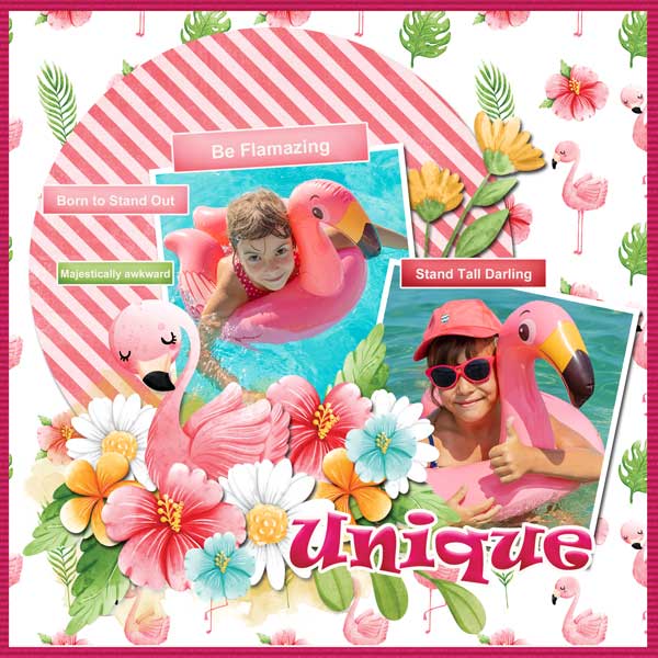 Flamingo Road