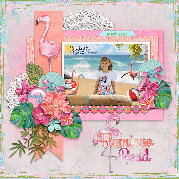 Flamingo Road