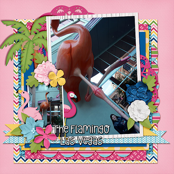 flamingo-vegas