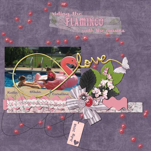 Flamingo