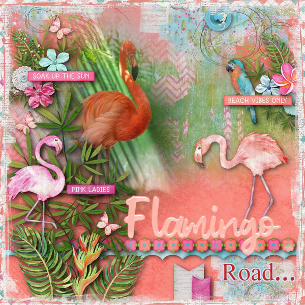 Flamingo