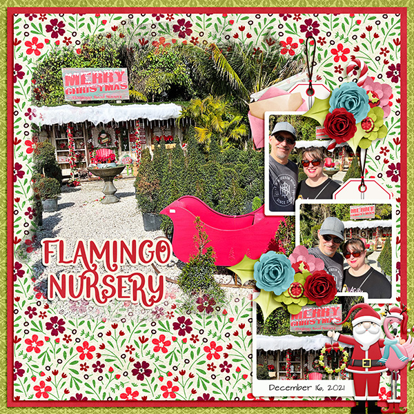 Flamingo