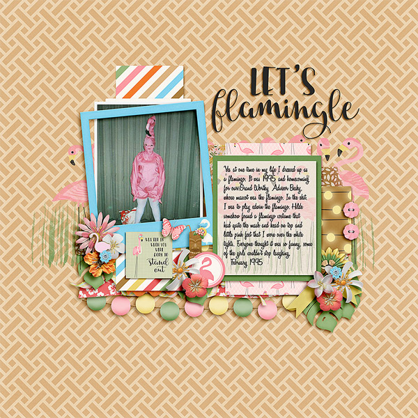 flamingo95