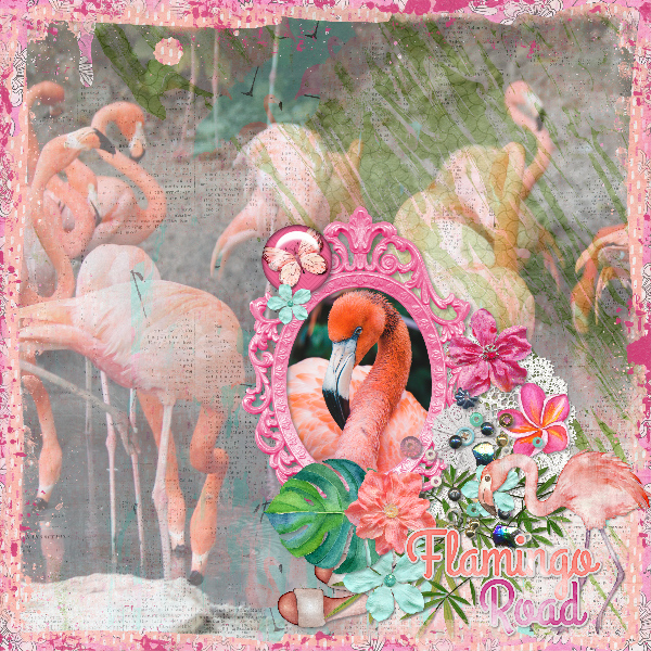 flamingo_road