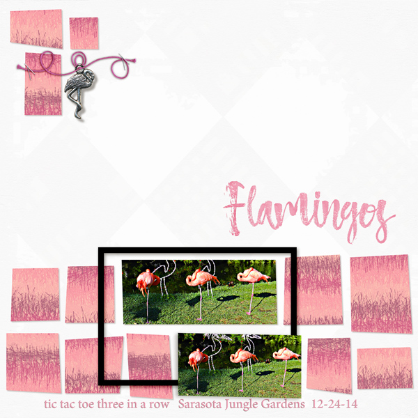 Flamingos in a row
