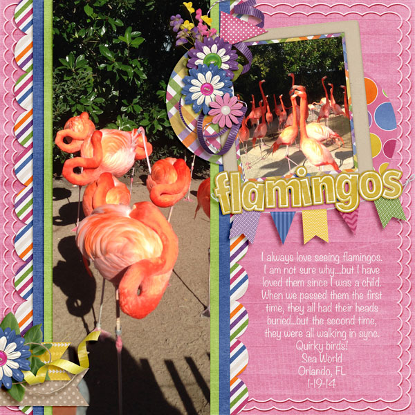 Flamingos