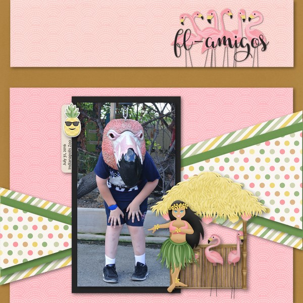 Flamingos
