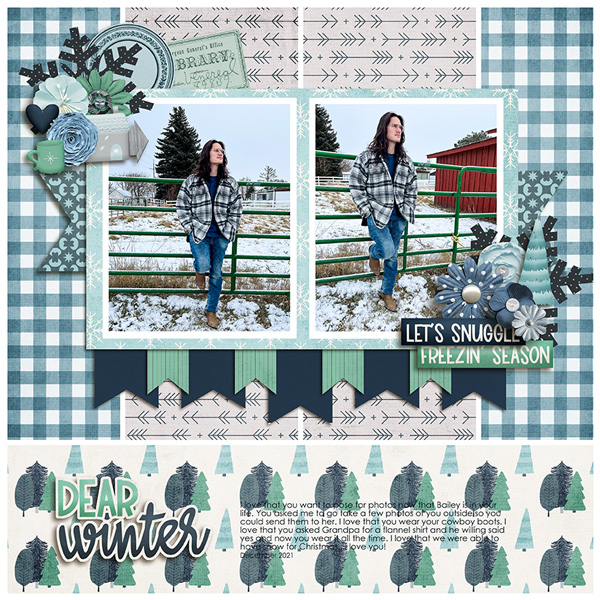 Flanner Winter