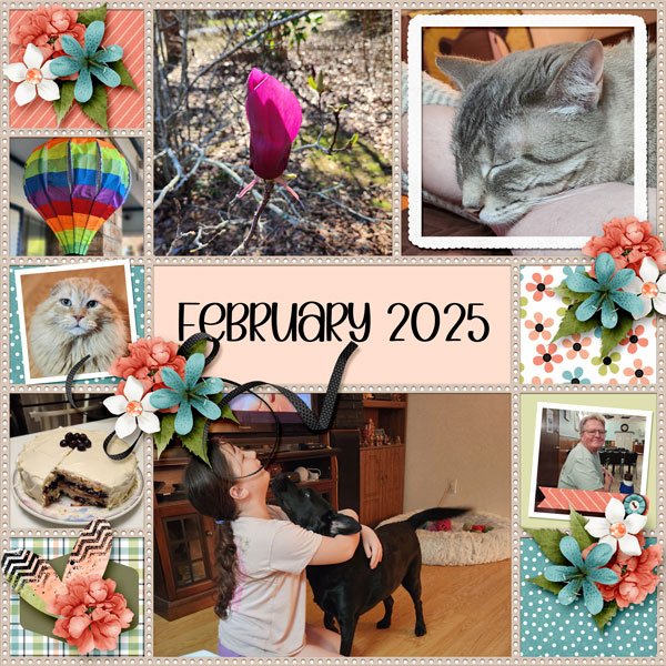 Flashback - February 2025