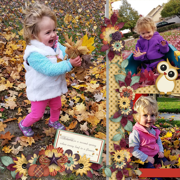 Flavors of Fall
